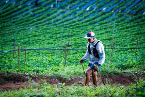 BIB: 
                            <button type="button" onclick="openModal(19159992)" class="btn btn-primary btn-sm float-right btn-popup" data-toggle="modal" data-target=".modal-high-quality">
                        <i class="fas fa-shopping-cart"></i> Add to Cart
                    </button>
                                            <button type="button" onclick="isThisMe(19159992, true)" class="btn btn-success btn-sm float-right btn-popup btn-isme hidden" data-toggle="tooltip" data-placement="bottom" title="นี่คือรูปของคุณใช่ไหม คลิกที่นี่เพื่อเอาเข้าอัลบั้ม">
                        <i class="fas fa-plus"></i> Add to album
                    </button>
                    <button type="button" onclick="isThisMe(19159992, false)" class="btn btn-warning btn-sm float-right btn-popup btn-isnotme hidden">
                        <i class="fas fa-ban"></i> Remove from album
                    </button>